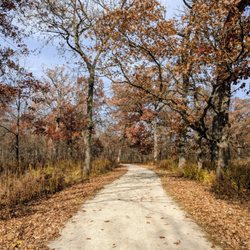 Greene Valley County Forest Preserve