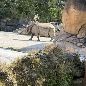 Zoo Miami - Zoos Near Me - Miami, Florida Zoo Miami - Zoos Near Me - Miami, Florida
