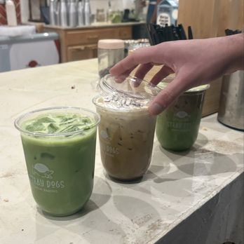 Stray Dogs Coffee Roasters - Matcha, Greyhound - Coffee Roasteries Near Me - Riverside, California