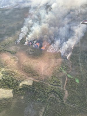 Big Cypress National Preserve by null