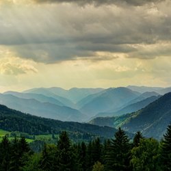 Renewed Integrative Counseling - It's time to be renewed