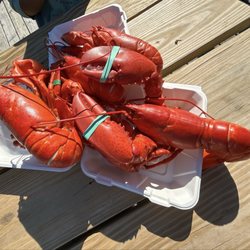 Hannaford - Fresh cooked lobster
