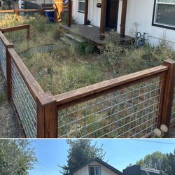 Cool Dad Lawn Care  - Before and after of big weed cleanup