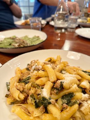 Terroni by null