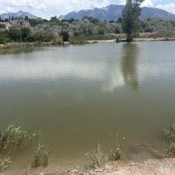 View of the pond. Kinda dirty but at least not riddled with trash!