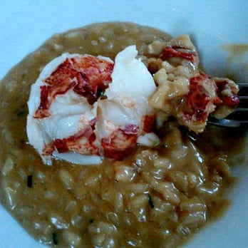 Cinghiale - Lobster Risotto - Italian Near Me - Baltimore, Maryland Cinghiale - Lobster Risotto - Italian Near Me - Baltimore, Maryland