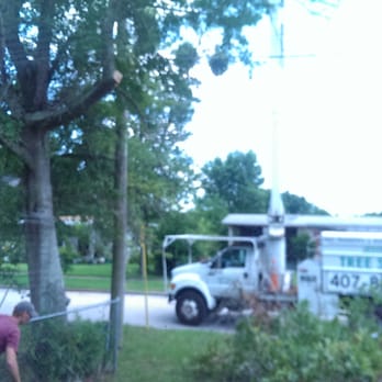 Jesse Scotts Tree Service - Albert Moore and crew at work. - Landscaping Near Me - Orlando, Florida Jesse Scotts Tree Service - Albert Moore and crew at work. - Landscaping Near Me - Orlando, Florida