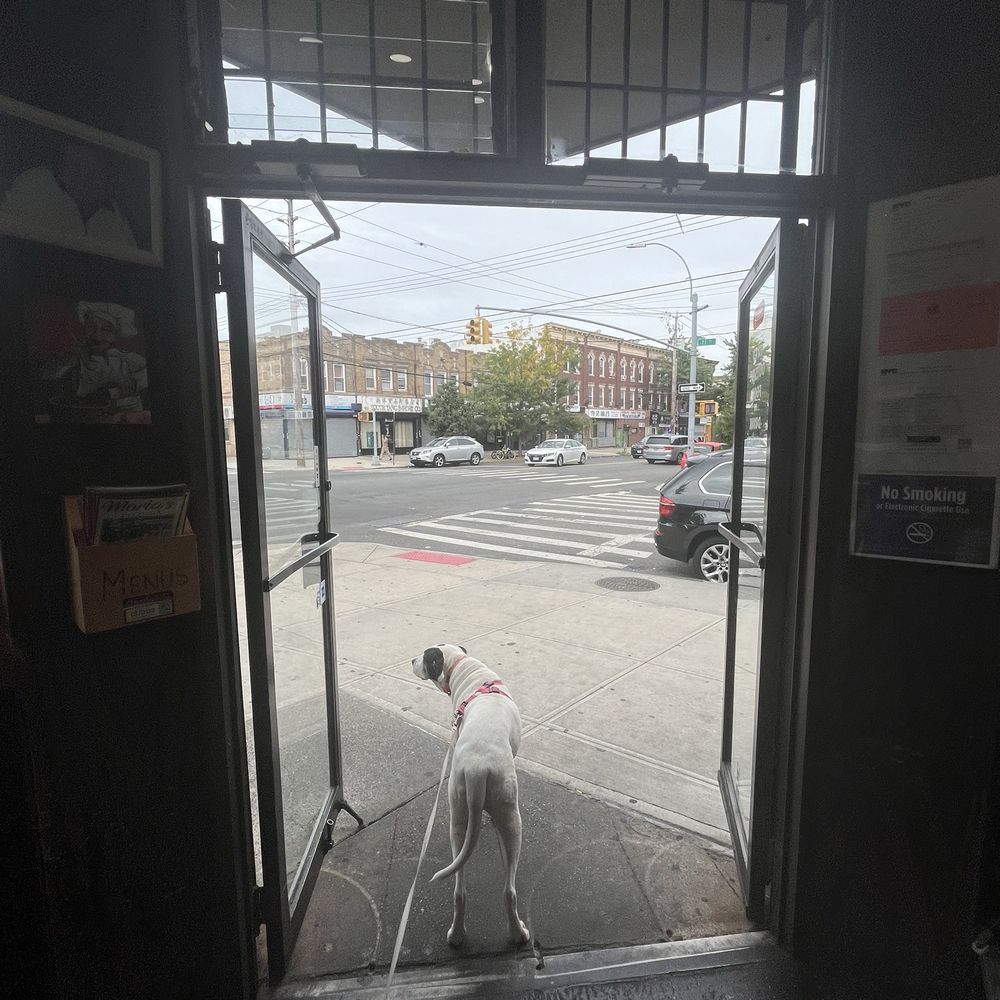 Maria's Pizza - Door - Pizza Near Me - Brooklyn, New York Maria's Pizza - Door - Pizza Near Me - Brooklyn, New York