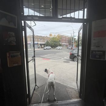 Maria's Pizza - Door - Pizza Near Me - Brooklyn, New York Maria's Pizza - Door - Pizza Near Me - Brooklyn, New York