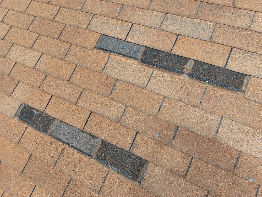 Slide of The Roof Goose