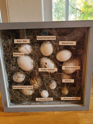 Audubon Center for Birds of Prey by null