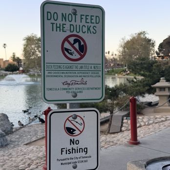 Temecula Duck Pond - Reminder sign not to feed the ducks - Parks Near Me - Temecula, California