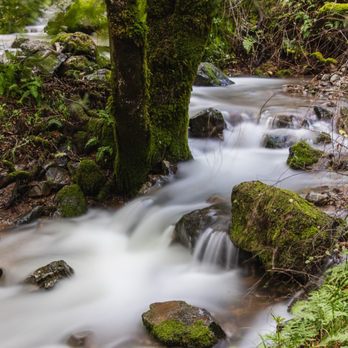 Indian Valley Open Space Preserve - Parks Near Me - Novato, California