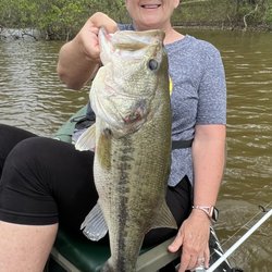 Wright Patman Dam & Lake - The bass!!!