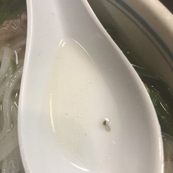 Pho 45 - Disgusting... found fly in my soup - Vietnamese Near Me - Garden Grove, California Pho 45 - Disgusting... found fly in my soup - Vietnamese Near Me - Garden Grove, California