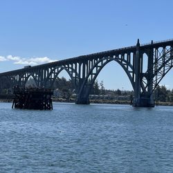 Marine Discovery Tours