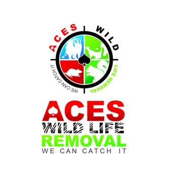 Aces Wildlife Removal - Wildlife Control Near Me - Imperial, Missouri