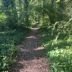 Bresemann Forest Park Trail