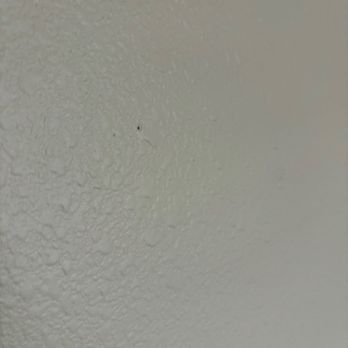 MV Professional Painting - they did not prepare any walls for paint. This is after they are done their "work." - Painters Near Me - Tracy, California MV Professional Painting - they did not prepare any walls for paint. This is after they are done their "work." - Painters Near Me - Tracy, California