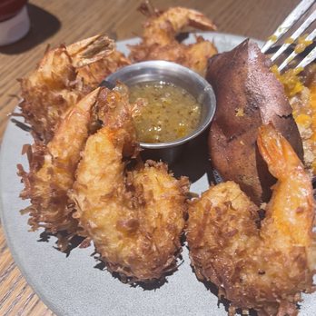 Outback Steakhouse - Plump juicy shrimp - Steakhouses Near Me - Lake Worth, Florida Outback Steakhouse - Plump juicy shrimp - Steakhouses Near Me - Lake Worth, Florida