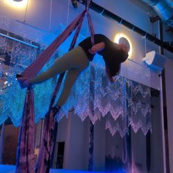Fly Freak Studio
