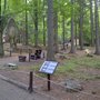 Photo of Park Dinozaurów Dinopark'