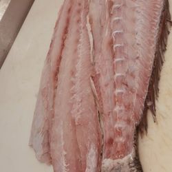 Fresh & Wild - Corvina fresh
