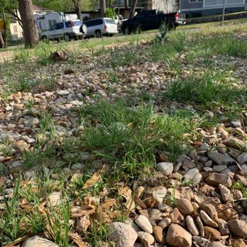 Castro Family Landscaping - We traded a poor lawn we could mow for this. - Tree Services Near Me Castro Family Landscaping - We traded a poor lawn we could mow for this. - Tree Services Near Me