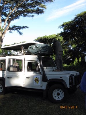 Thomson Safaris by null