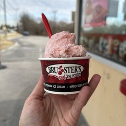 Bruster's Real Ice Cream - Cherry ice cream