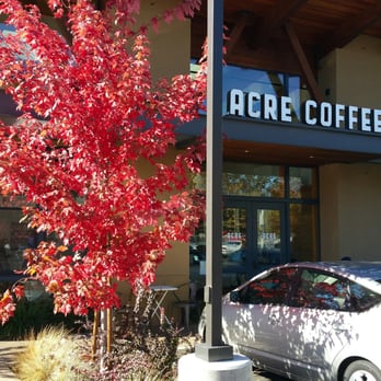 Avid Coffee - Fall color is here in Santa Rosa! - Cafes Near Me - Santa Rosa, California Avid Coffee - Fall color is here in Santa Rosa! - Cafes Near Me - Santa Rosa, California