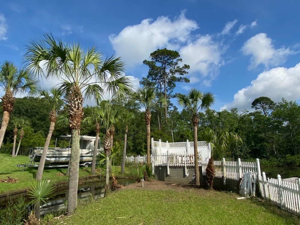 Tree Works - tree service in Gulfport, MS