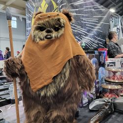 Pne Forum - Wicket