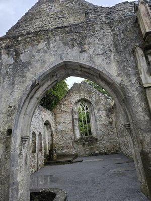 Muckross Abbey by null