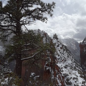 Angel's Landing - Where am I? - Hiking Near Me - Springdale, Utah Angel's Landing - Where am I? - Hiking Near Me - Springdale, Utah
