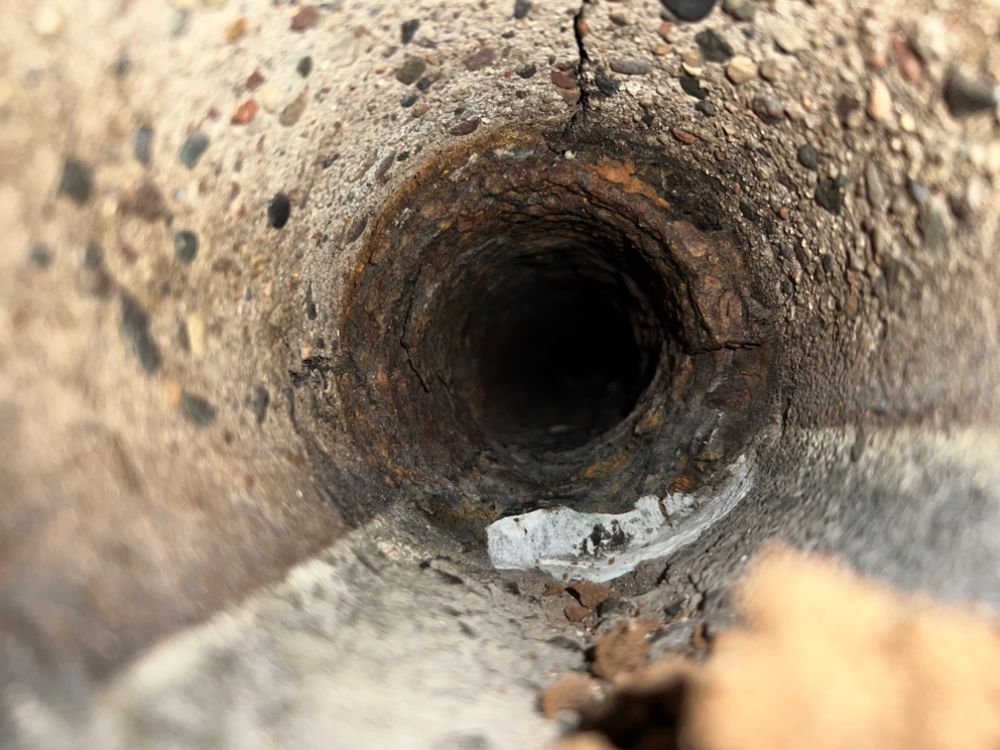 Slide of Drain Spies