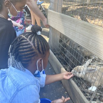 Abma's Farm - Feeding the Bunnies - Farmers Market Near Me - Wyckoff, New Jersey