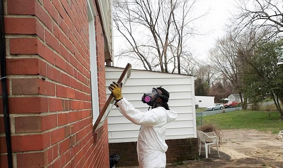 MARYLAND LEAD PAINT Updated August 2024 19 Photos 700 Vine St