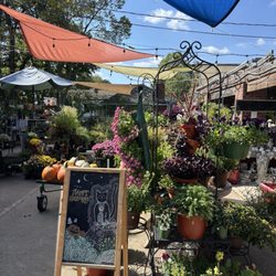 Ace Hardware - Outdoor section