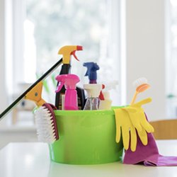 Claudia's House Cleaning - house cleaning