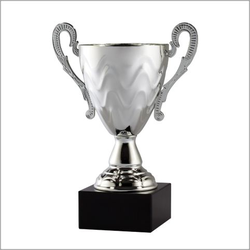 The Trophy Center