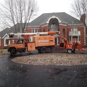 Myson's Tree Service & Stump Removal - Tree Services Near Me - Thompsonville, Illinois Myson's Tree Service & Stump Removal - Tree Services Near Me - Thompsonville, Illinois