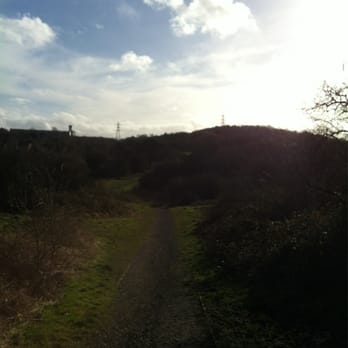 Barrow Hill Nature Reserve - Parks Near Me - West Mids, XWM