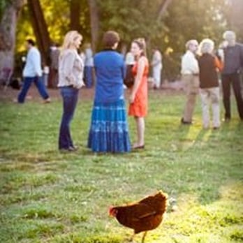 Lyons Farmette - meadow setting - Venues & Event Spaces Near Me - Lyons, Colorado