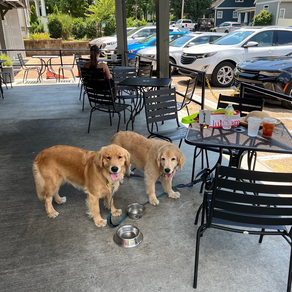 Frothy Monkey - Pet friendly! - Coffee & Tea Near Me - Nashville, Tennessee