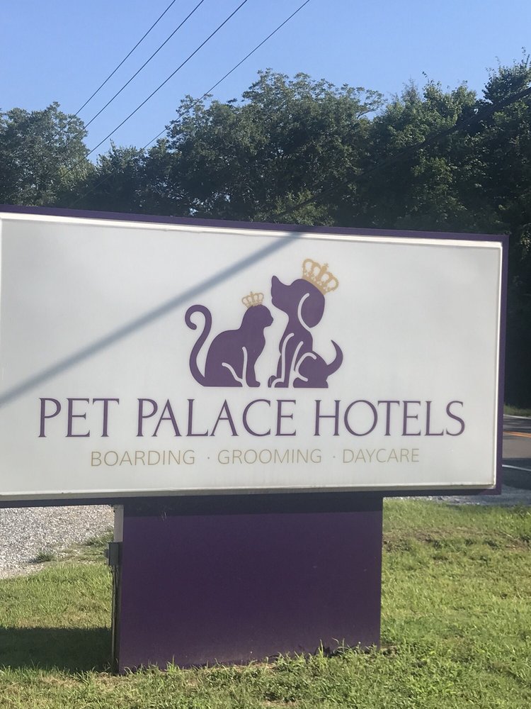 PET PALACE HOTELS Updated August 2024 565 Pike Rd, Pike Road