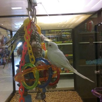 PetSmart - Pet Training Near Me - Salt Lake City, Utah