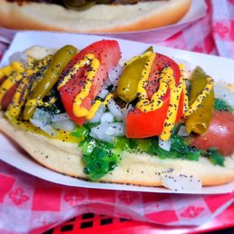Chicago dog Chicago dog