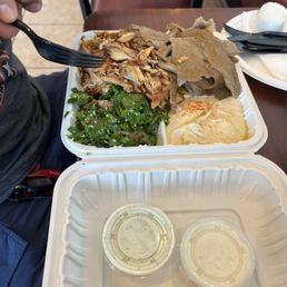 Gyro and chicken plate