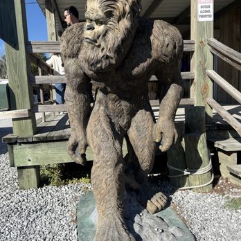 Airboat Adventures - Sas - Boat Tours Near Me - Lafitte, Louisiana
